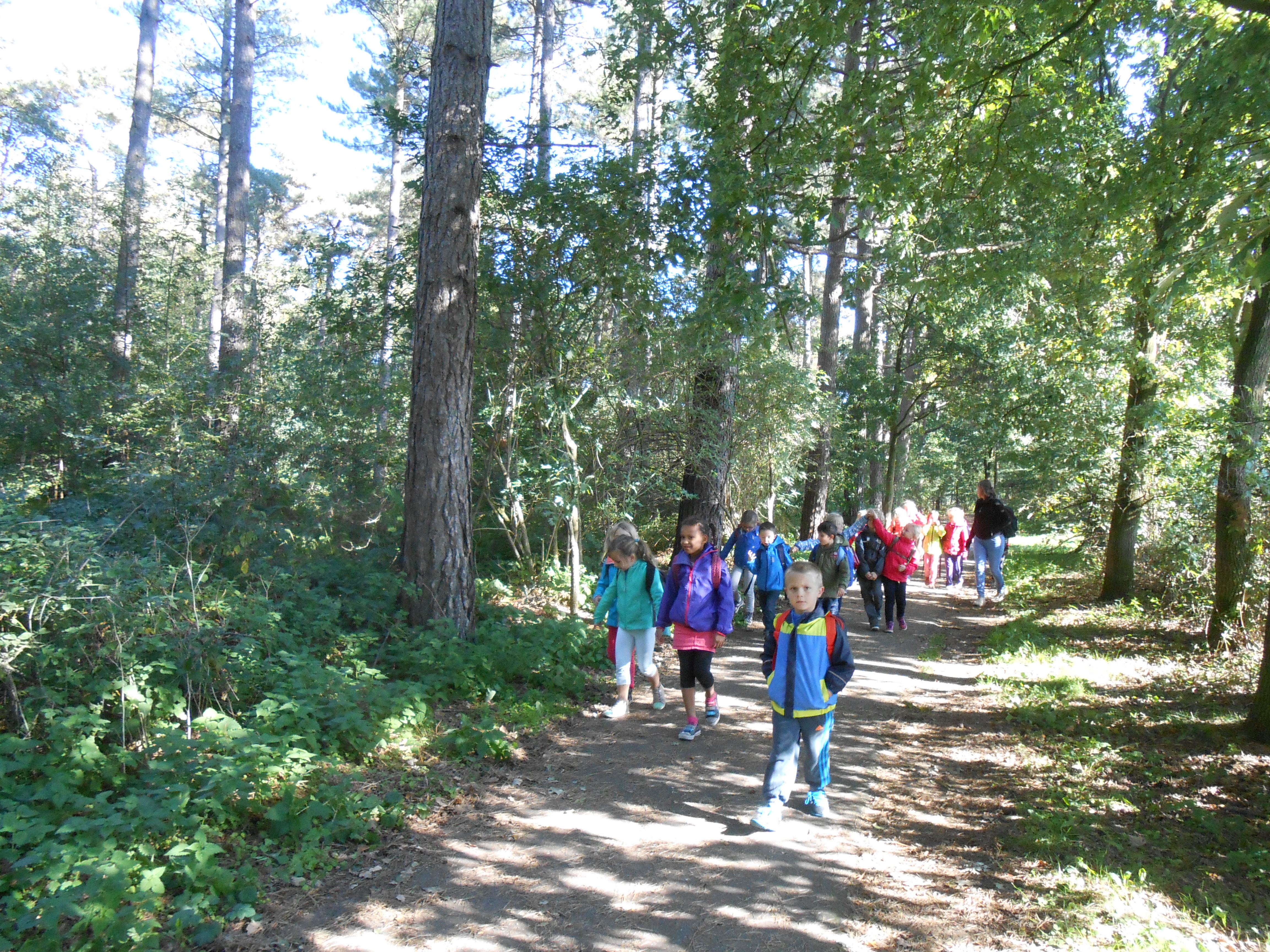 Op uitstap naar het bos.